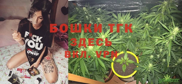 MESCALINE Бородино