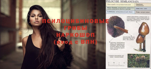 MESCALINE Бородино