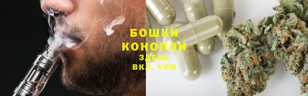 MESCALINE Бородино